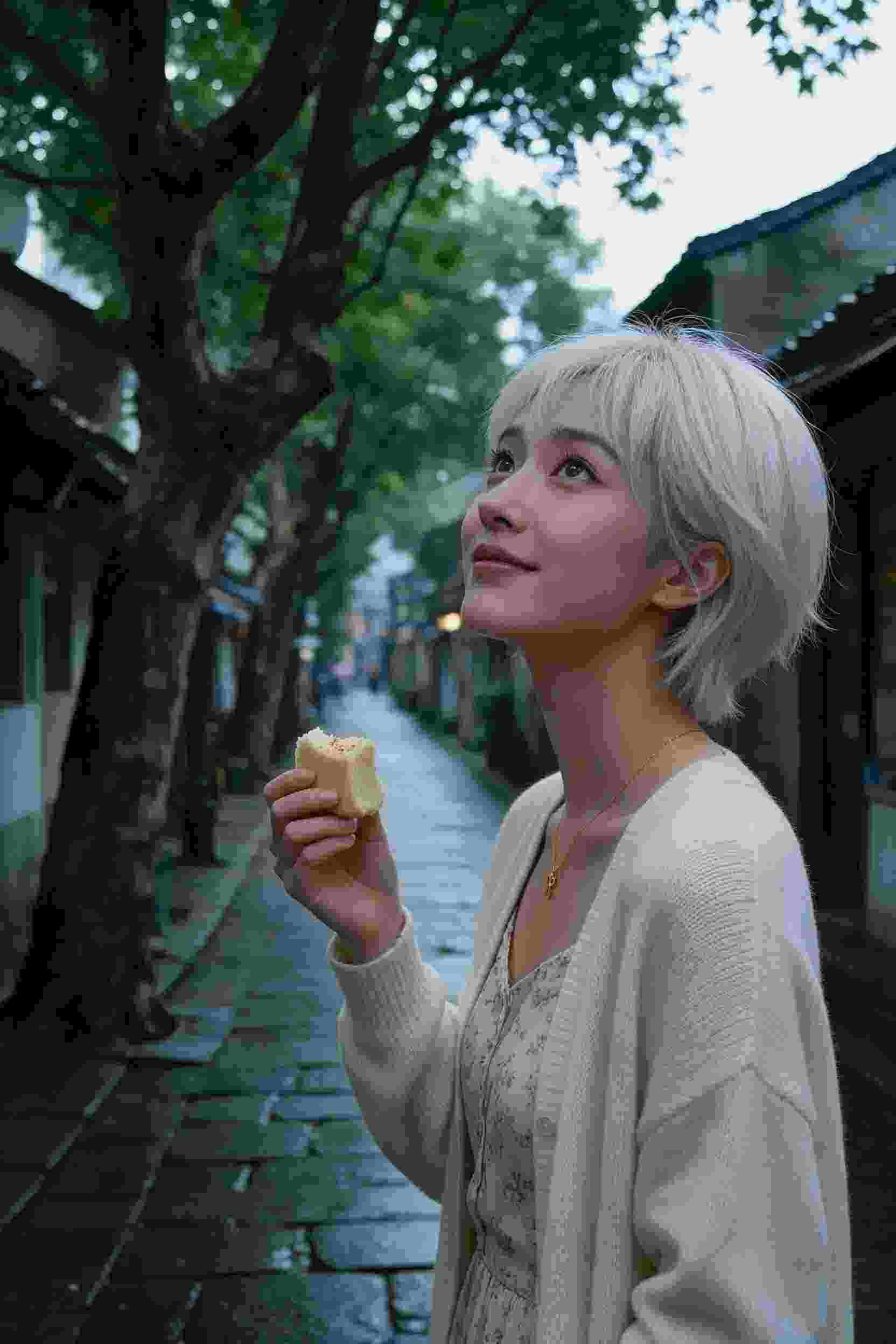 高分作品